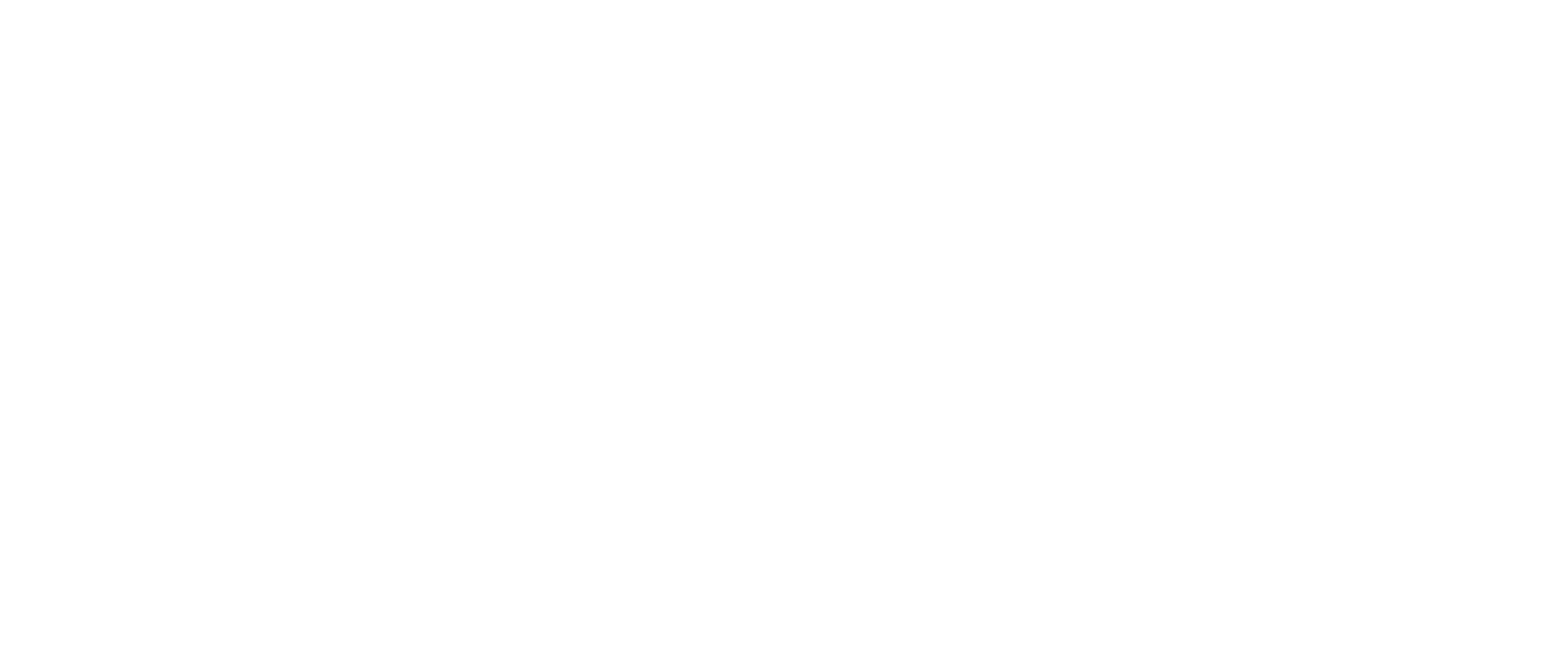 rayus mmi logo