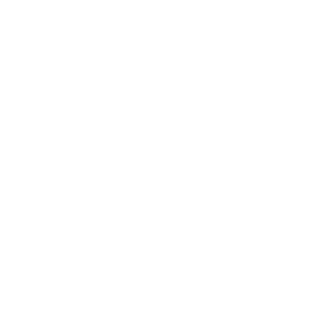rayus logo