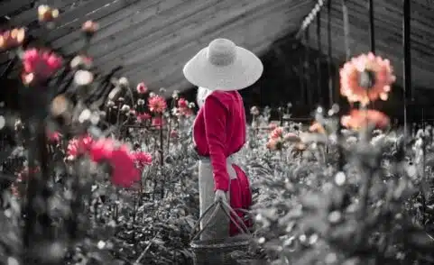 The “Cost” of Screening vs. Diagnostic Mammography